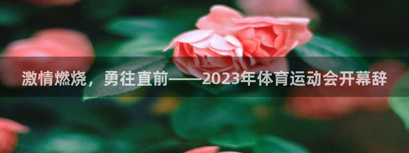 蜘蛛体育小狐狸图片