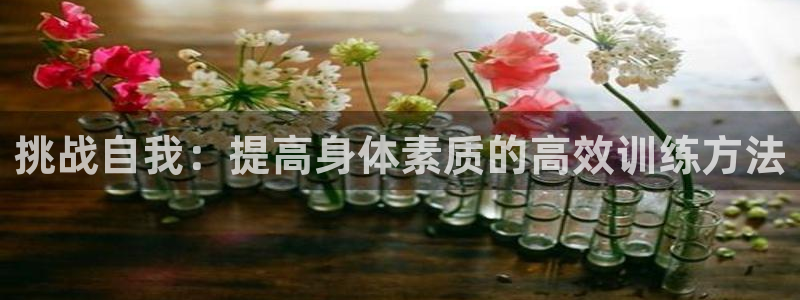 蜘蛛体育免费直播nbaxinrukou.zuixinwang.中国：挑战自我：提高身体素质的高效训练方法