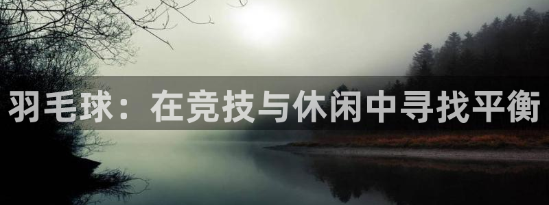 蜘蛛体育看不了：羽毛球：在竞技与休闲中寻找平衡