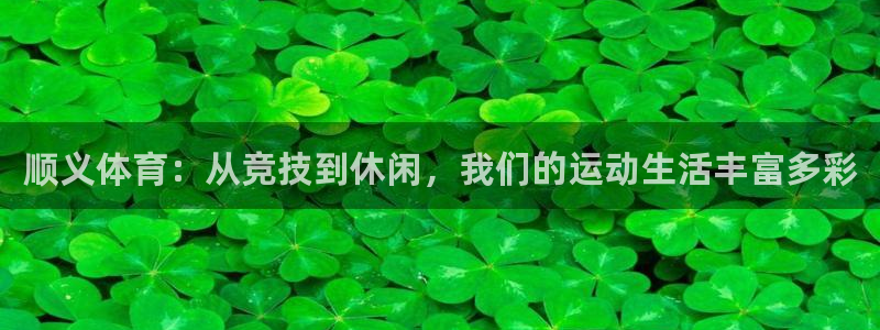 蜘蛛体育jrs：顺义体育：从竞技到休闲，我们的运动生活丰富多彩