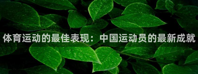 蜘蛛体育