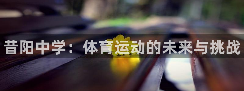 蜘蛛体育糖糖