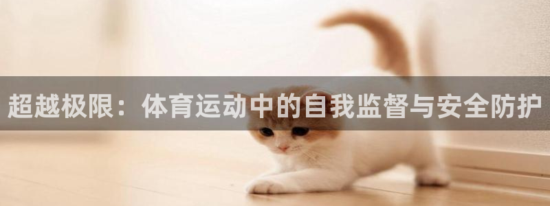 蜘蛛体育APP新发布.快速网.org